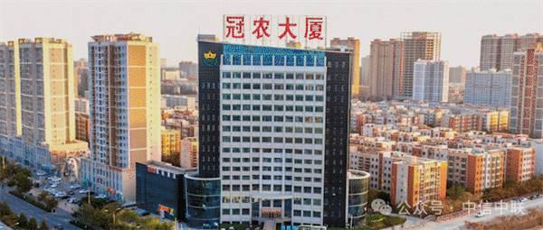 图片 3.png