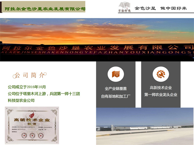 企业简介02.jpg