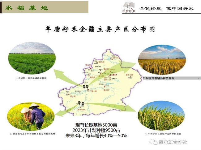企业简介03.jpg