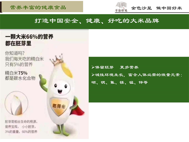 企业简介07.jpg