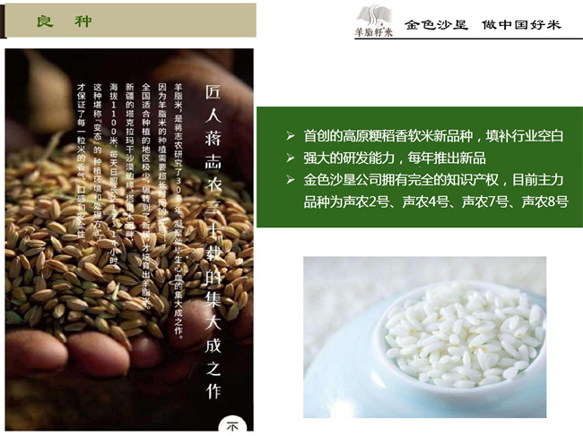 企业简介10.jpg