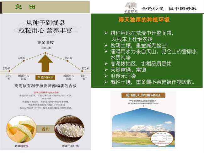 企业简介12.jpg