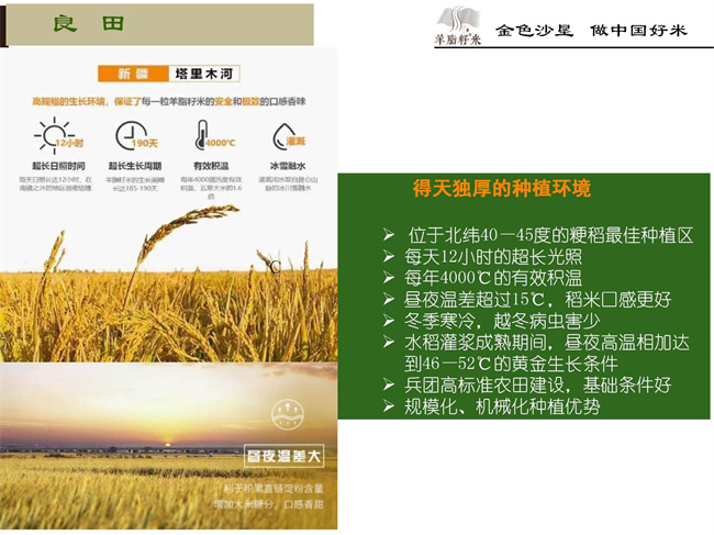 企业简介13.jpg