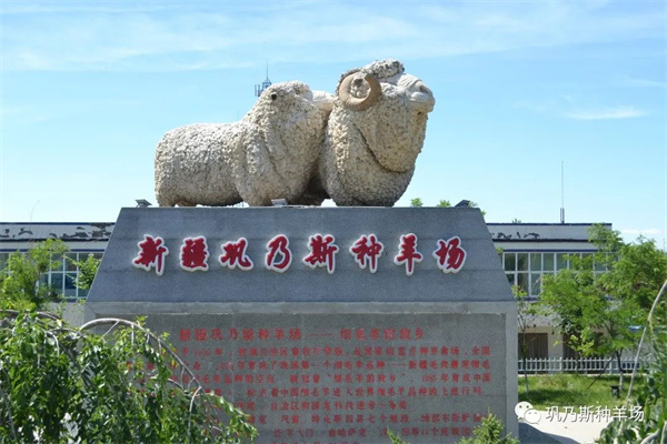 图1.jpg