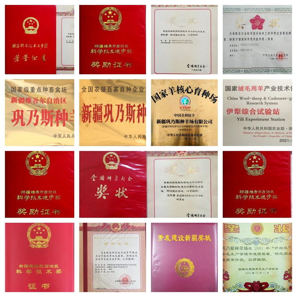 图4.jpg