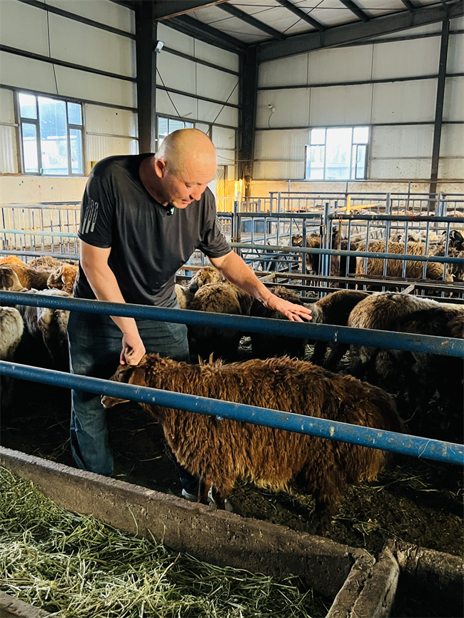 1757327084817759.jpg 屠宰场.jpg