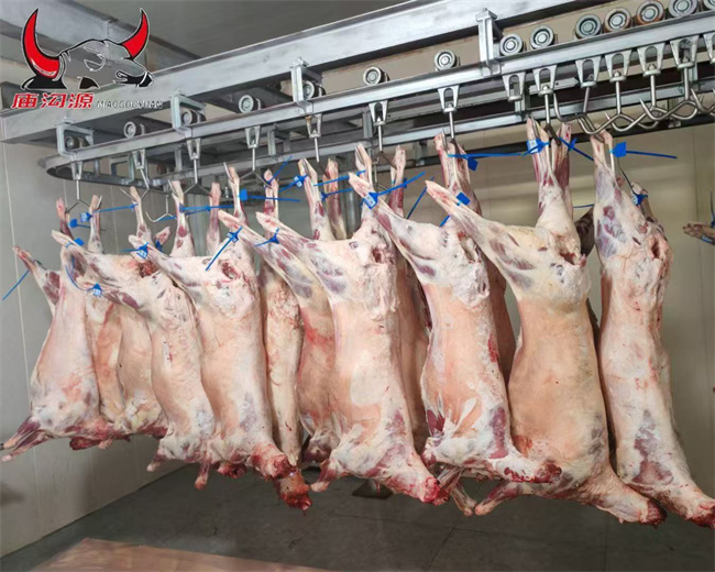 1757327145671731.jpg 产品2.jpg