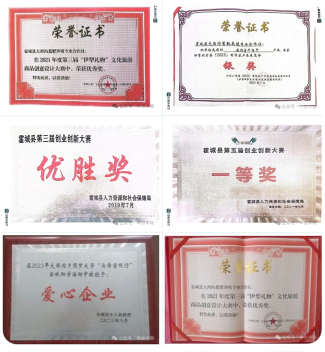 1757327173449226.jpg 荣誉-1.jpg