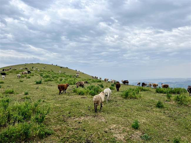 1757327441757081.jpg 图2.jpg